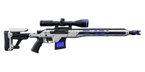 بندقية الرامي DMR